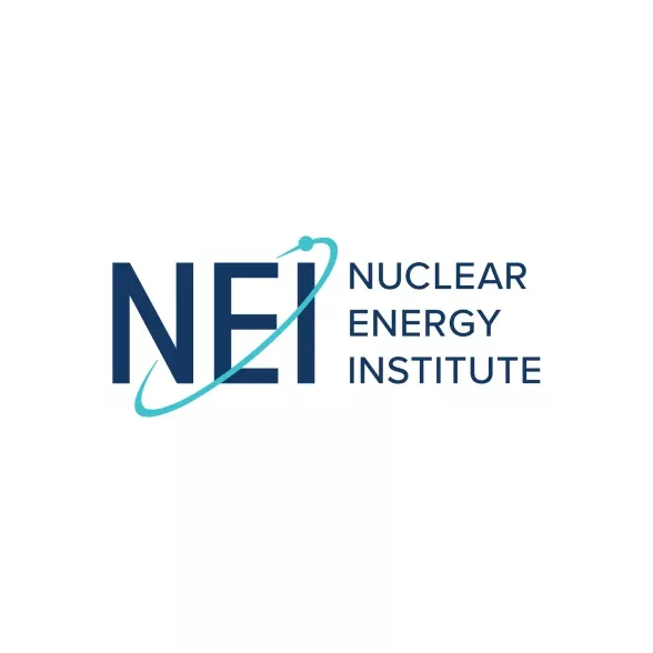 NEI 13-10