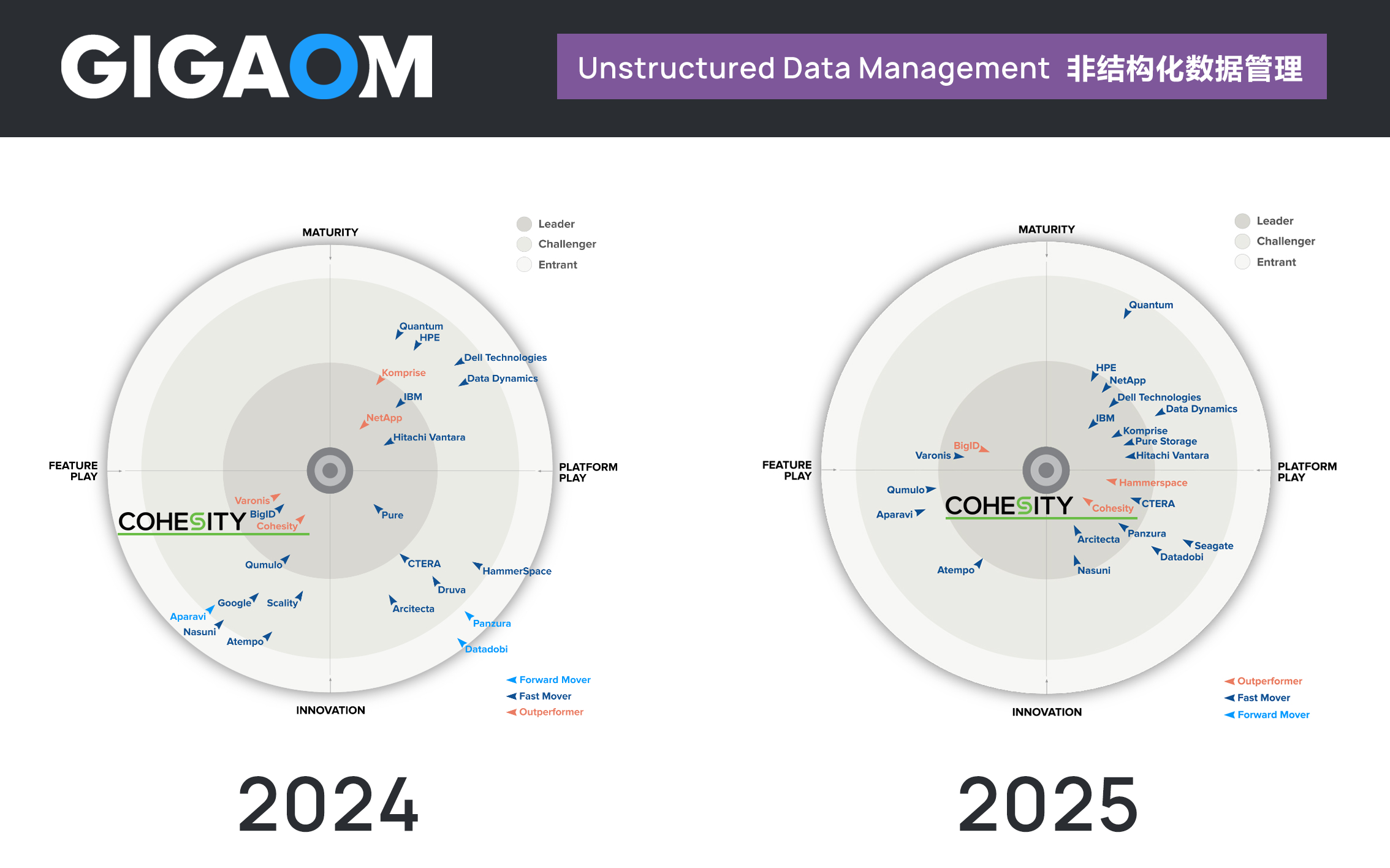 2024-2025.png