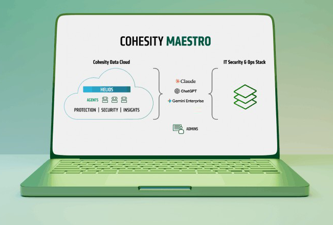 maestro-hero-925x440-1.png